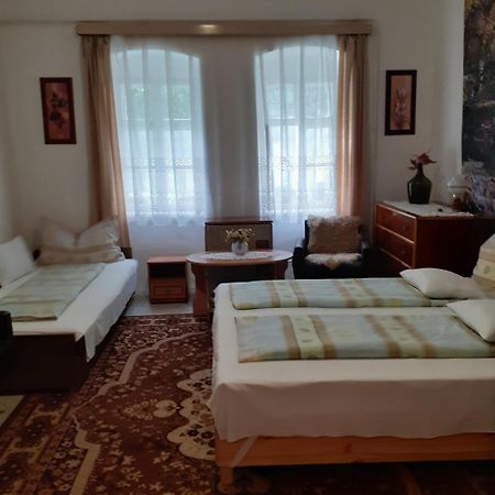Marika vendégház Apartamento Abádszalók Exterior foto