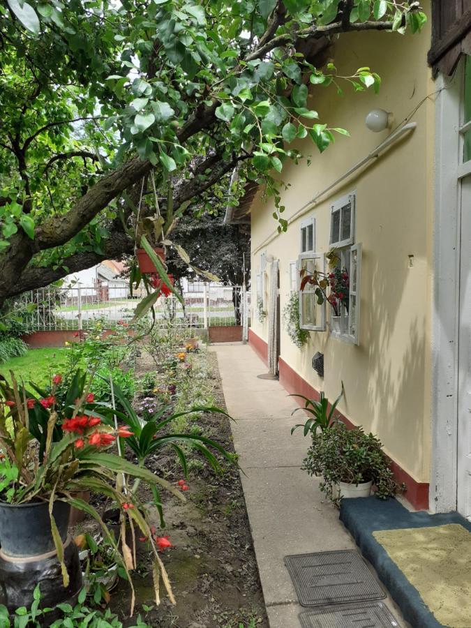 Marika vendégház Apartamento Abádszalók Exterior foto