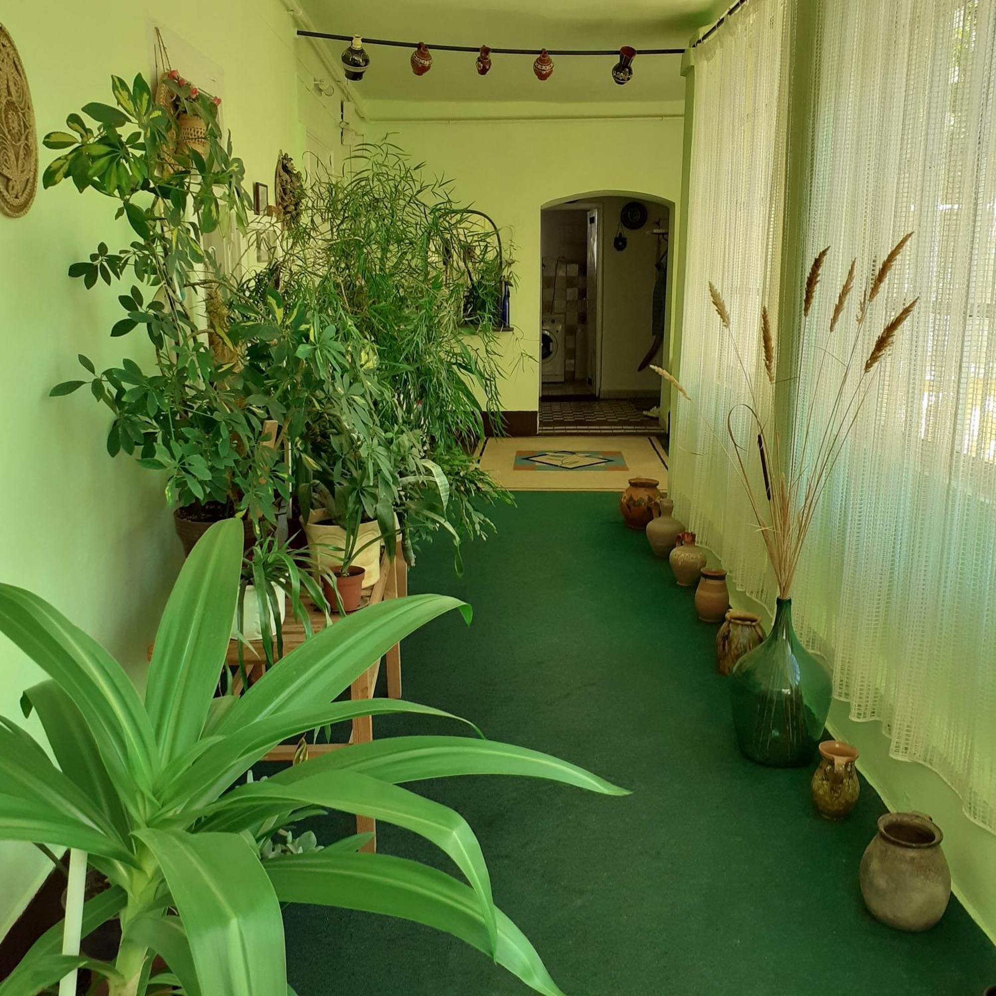 Marika vendégház Apartamento Abádszalók Exterior foto