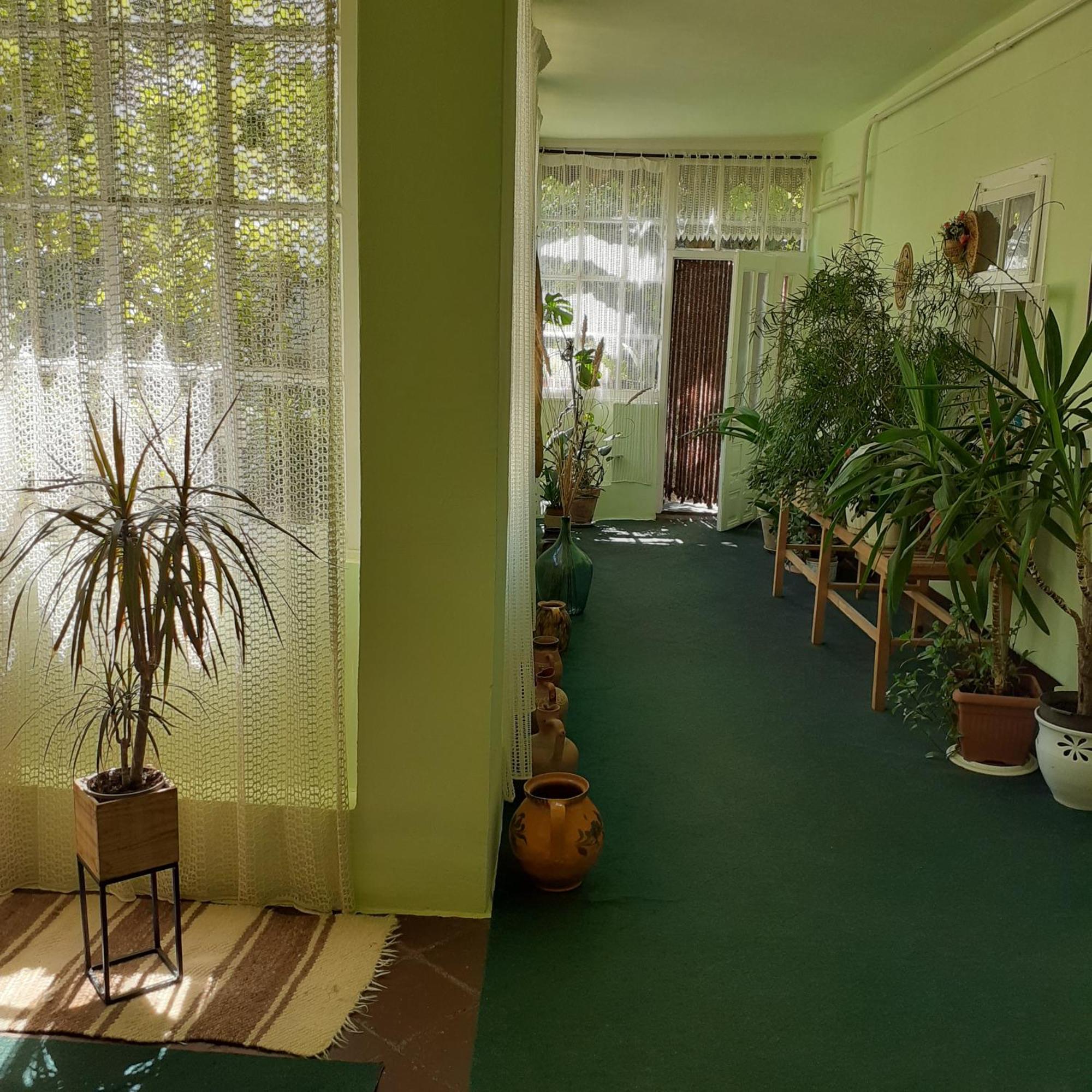 Marika vendégház Apartamento Abádszalók Exterior foto